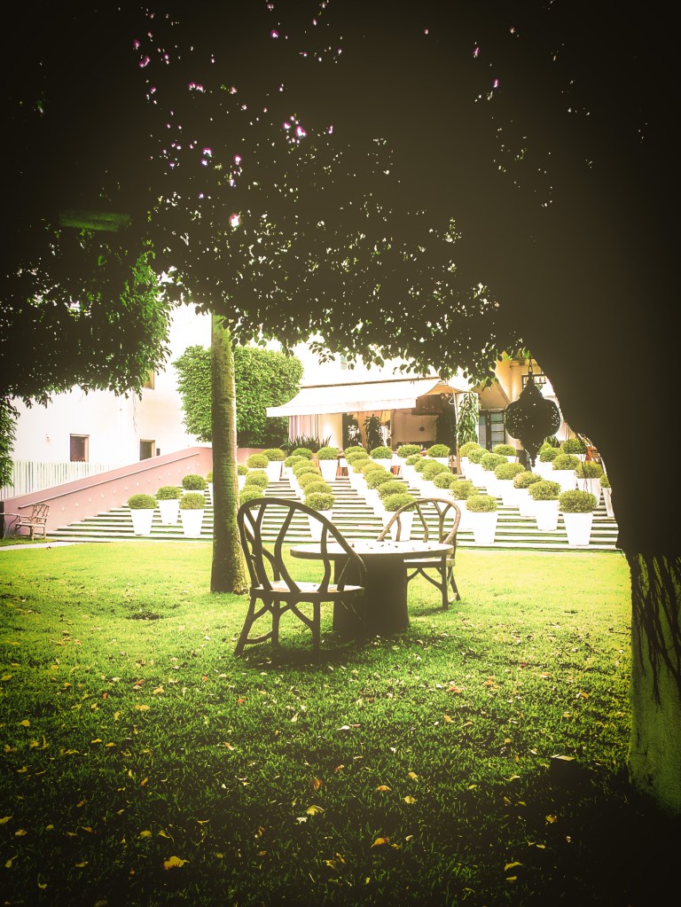 Photo: Flavia Caldas // Location: Delano Hotel, Miami Beach