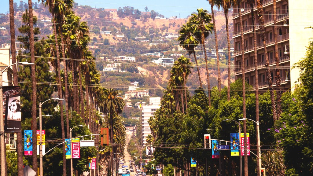 Photo: Flavia Caldas // Location: Beverly Hills