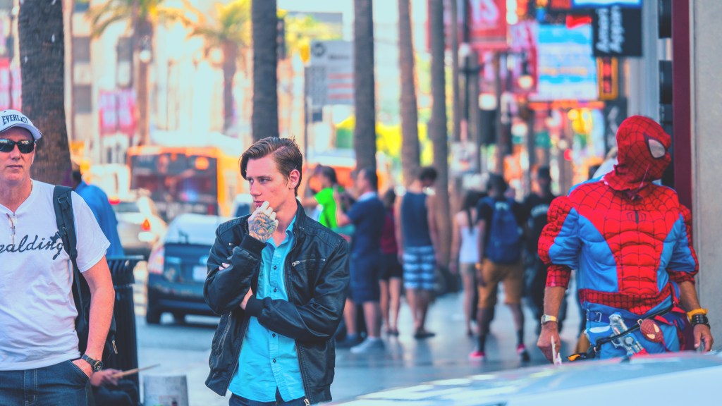 Photo: Flavia Caldas // Location: Sidewalk of Fame, Hollywood Boulevard