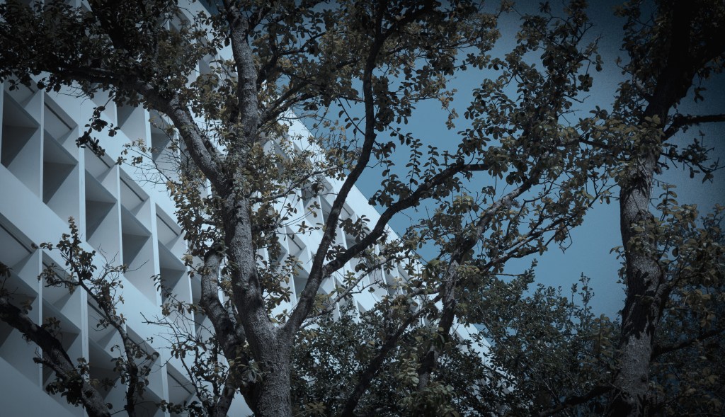 Photo: Flavia Caldas // Location: Lincoln Road 